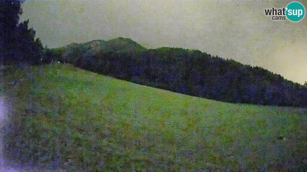 Kranjska Gora SKIJANJE | Brsnina