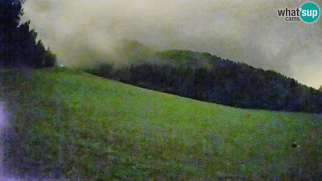 RTC Kranjska Gora | Brsnina
