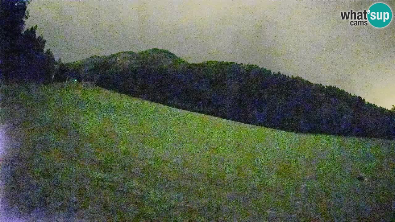 RTC Skigebiet Kranjska Gora | Brsnina