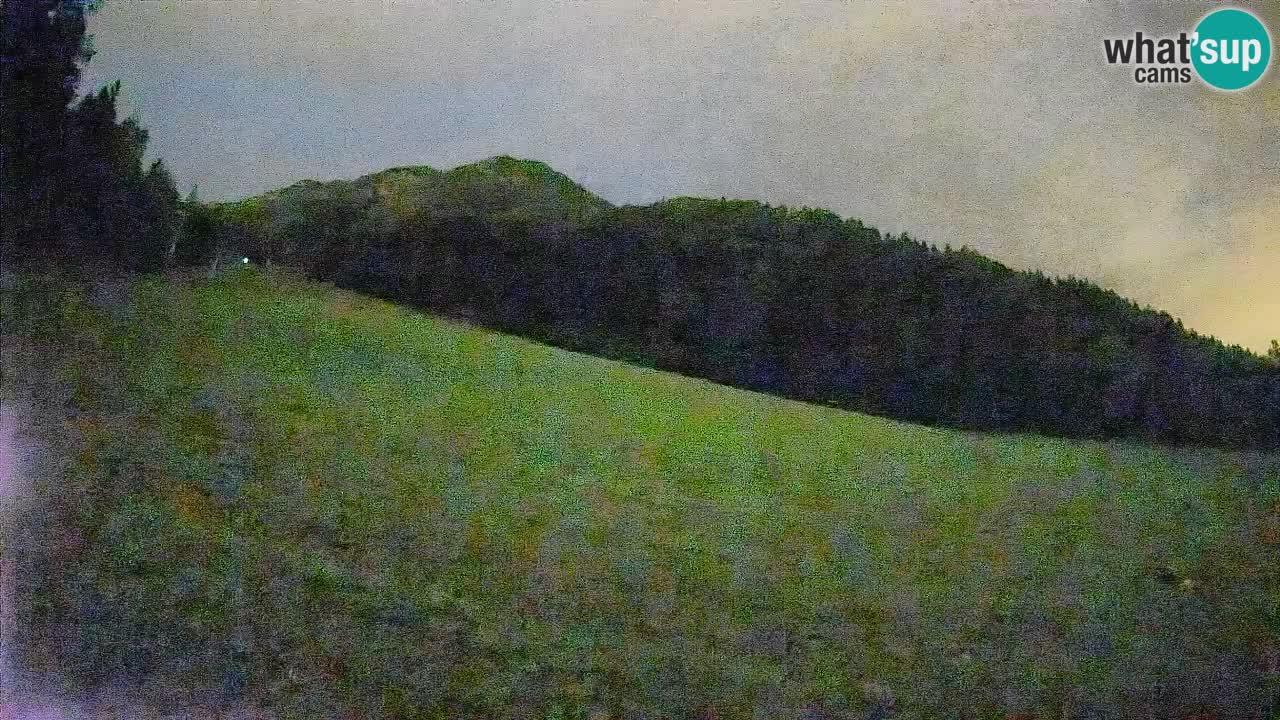 RTC Kranjska Gora | Brsnina