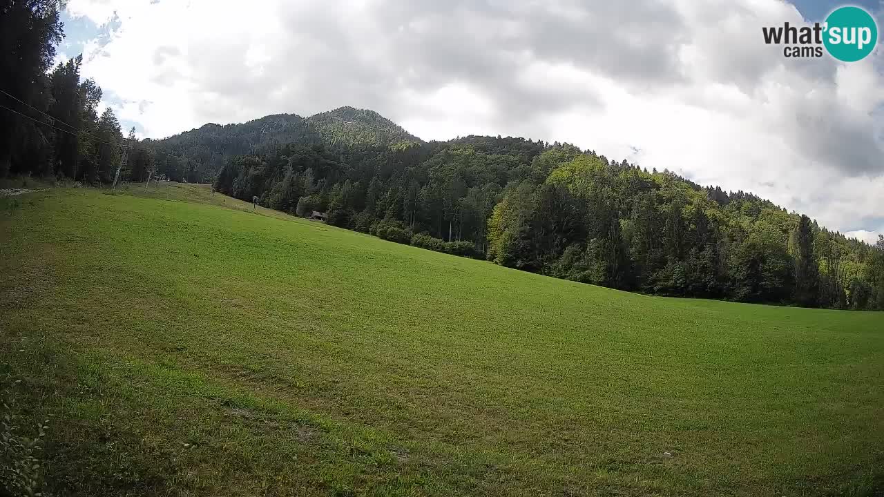 Ski Kranjska Gora | Brsnina