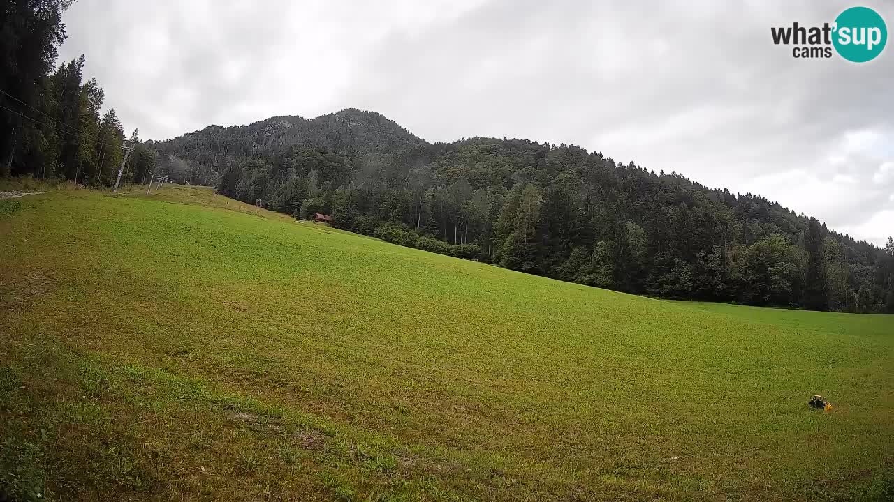 RTC Skigebiet Kranjska Gora | Brsnina