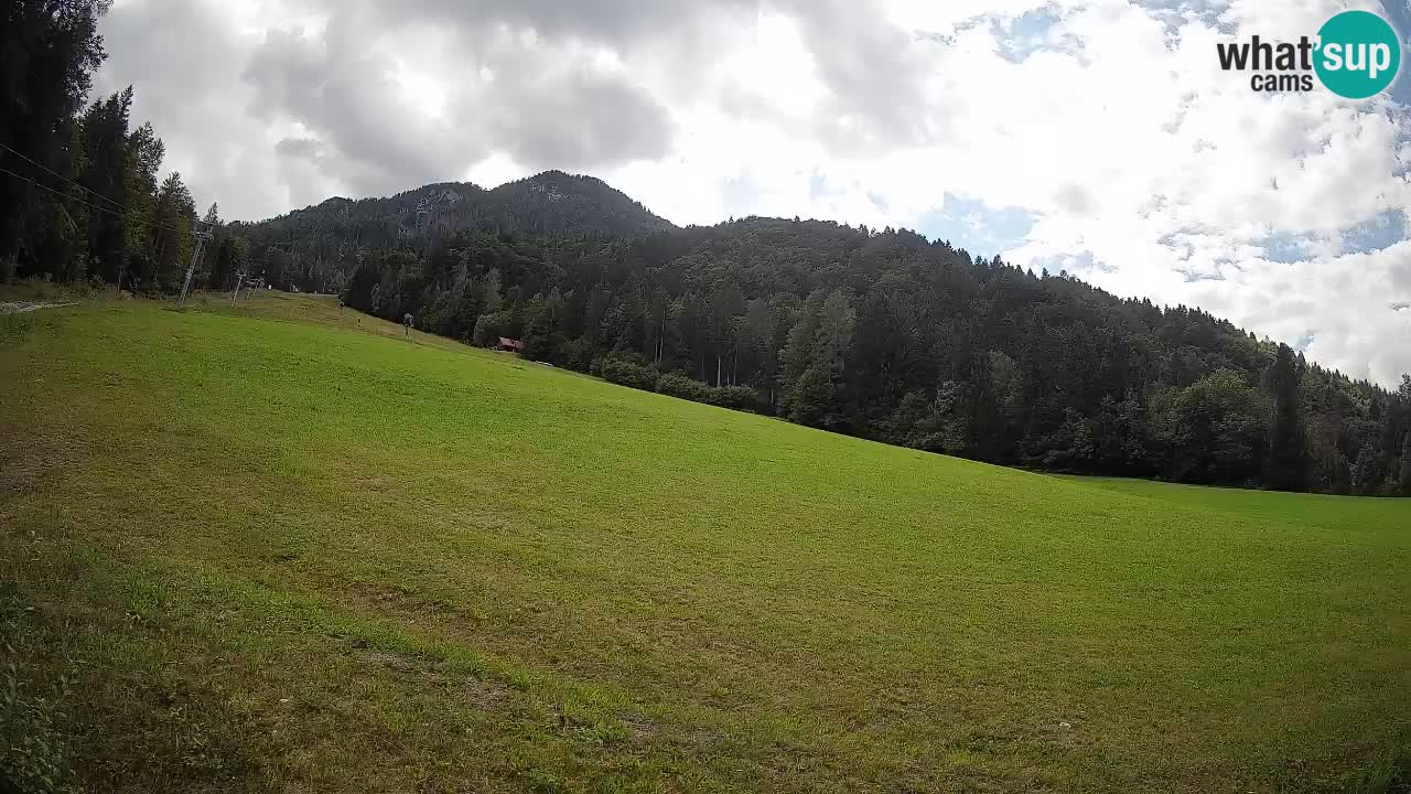 RTC Skigebiet Kranjska Gora | Brsnina