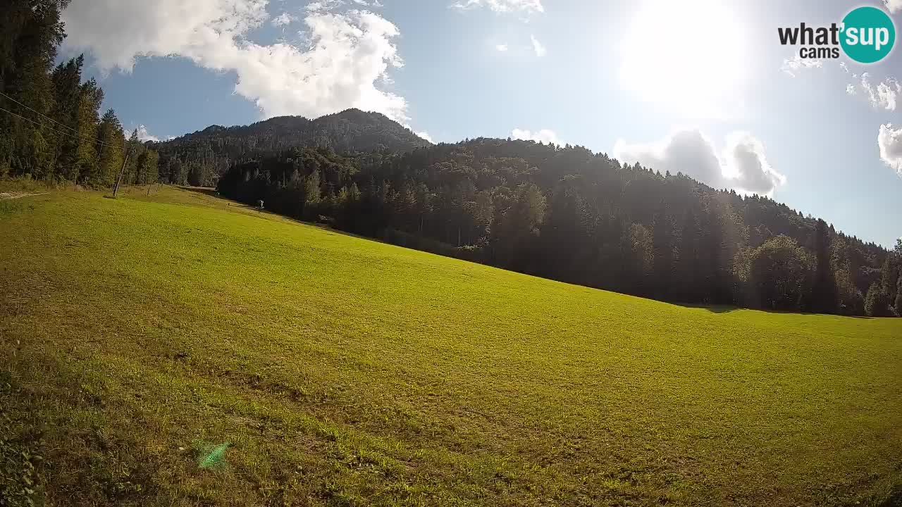 RTC Skigebiet Kranjska Gora | Brsnina