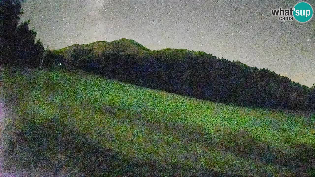 RTC Skigebiet Kranjska Gora | Brsnina