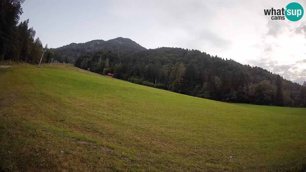 Esquí Kranjska Gora | Brsnina