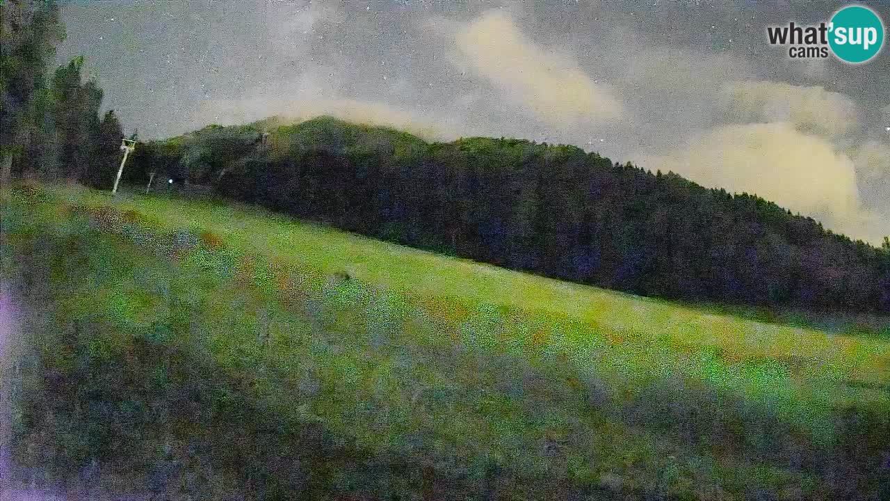 Esquí Kranjska Gora | Brsnina