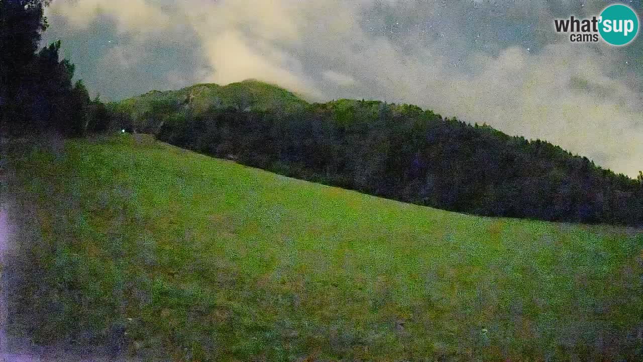 Comprensorio sciistico Kranjska Gora | Brsnina