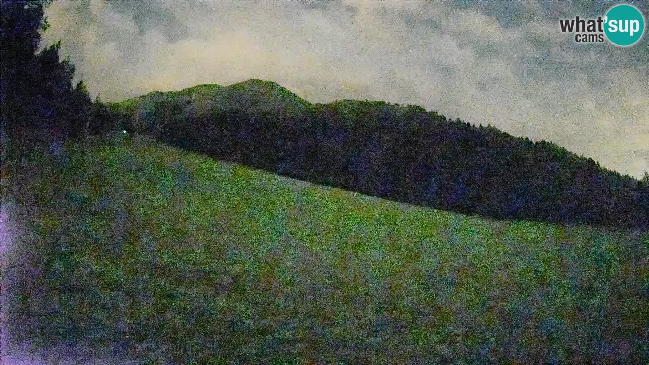 Comprensorio sciistico Kranjska Gora | Brsnina