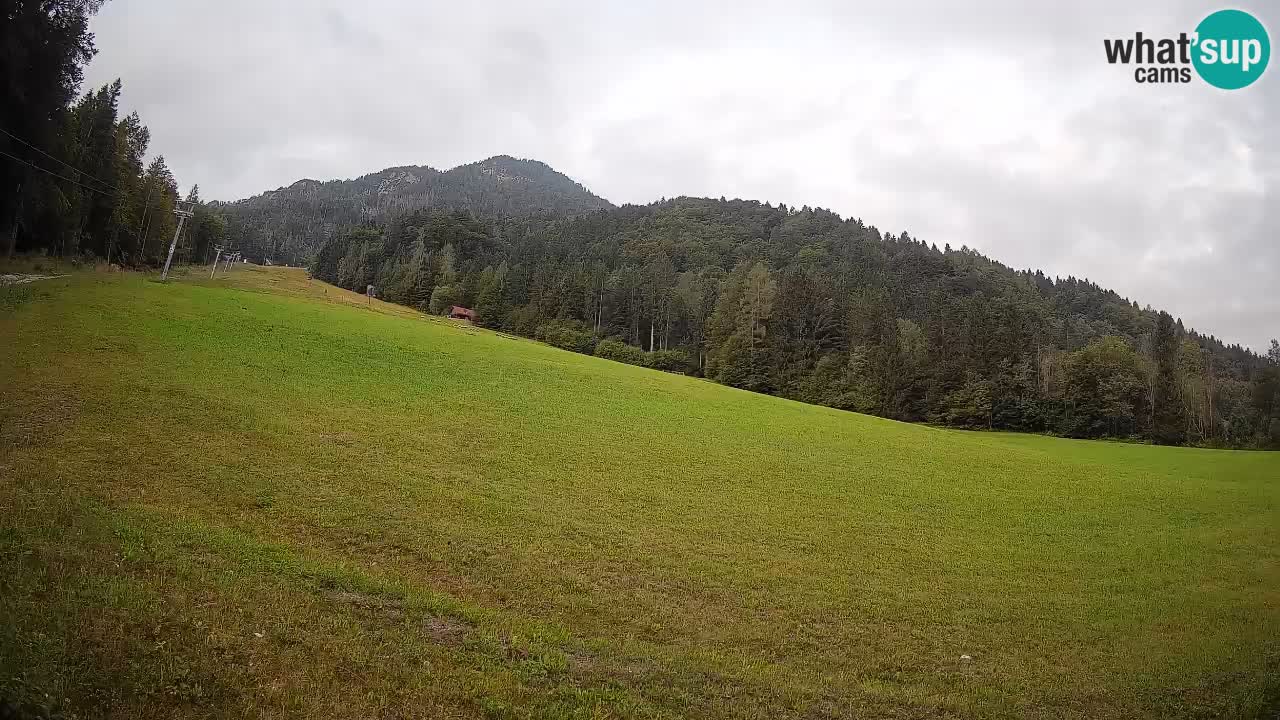 Kranjska Gora Station de ski | Brsnina