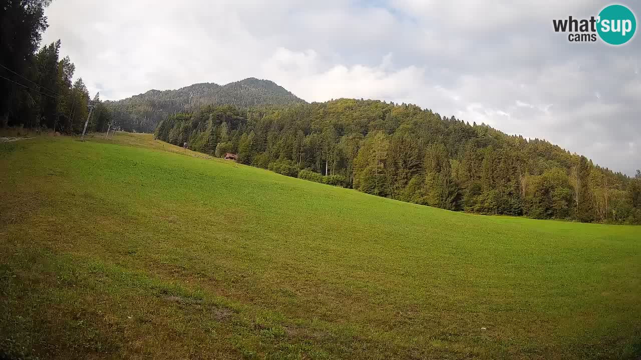 RTC Kranjska Gora | Brsnina