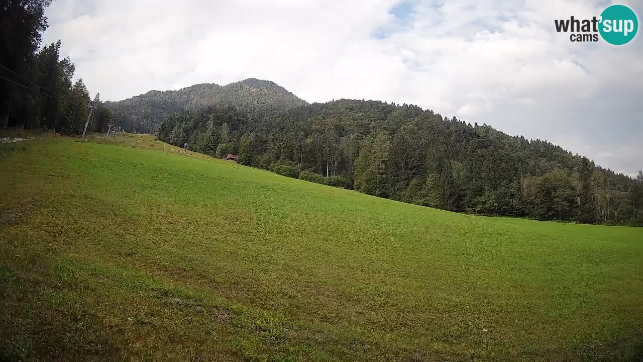 RTC Skigebiet Kranjska Gora | Brsnina