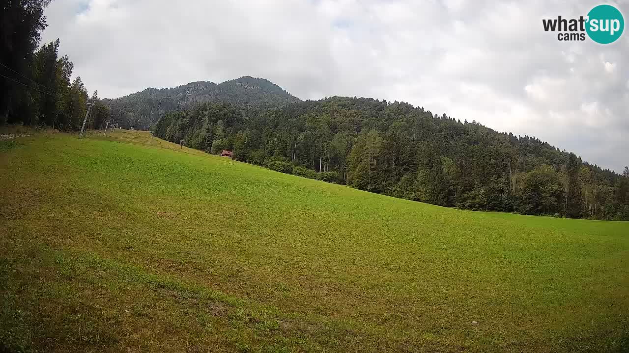 Kranjska Gora Station de ski | Brsnina