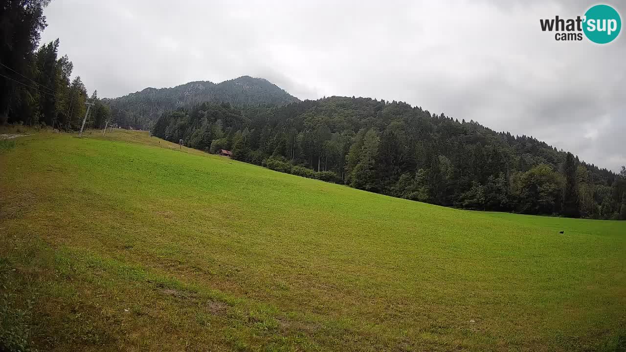 Kranjska Gora SKIJANJE | Brsnina