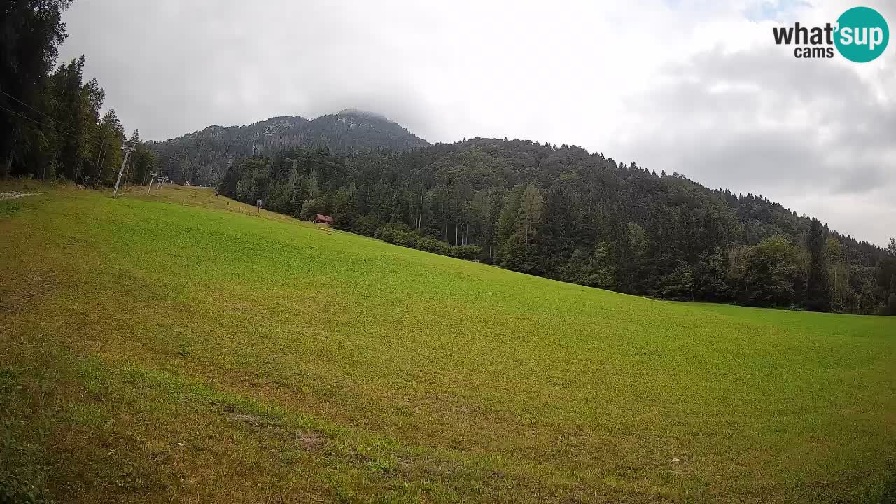 Comprensorio sciistico Kranjska Gora | Brsnina