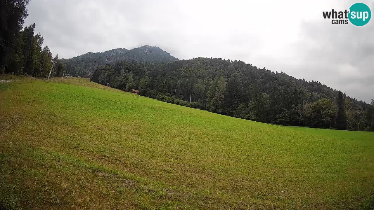Comprensorio sciistico Kranjska Gora | Brsnina