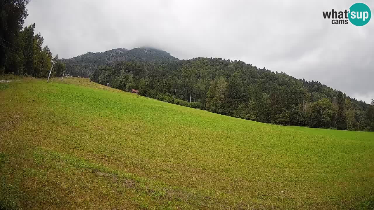 Esquí Kranjska Gora | Brsnina