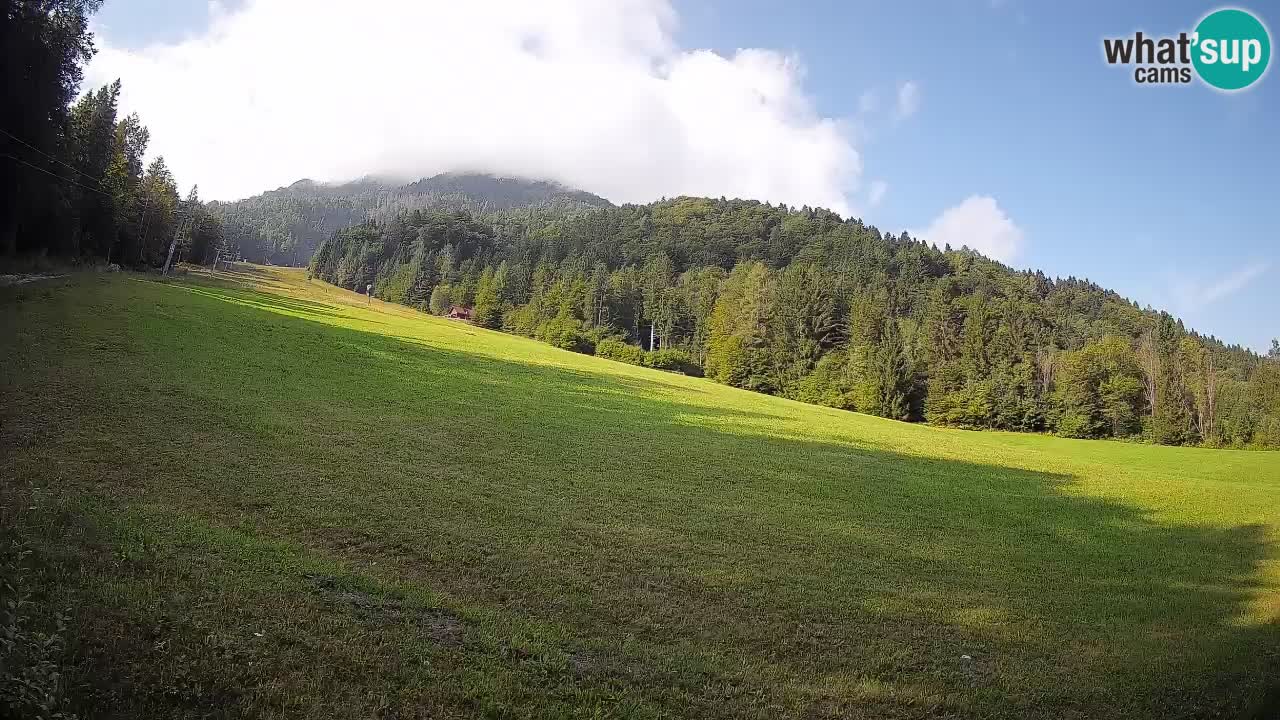RTC Skigebiet Kranjska Gora | Brsnina