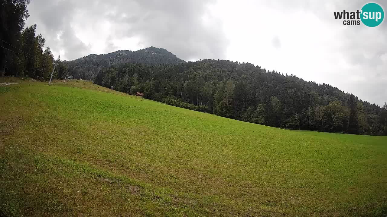 Esquí Kranjska Gora | Brsnina