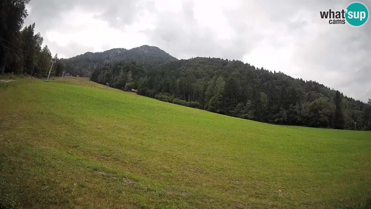 Esquí Kranjska Gora | Brsnina