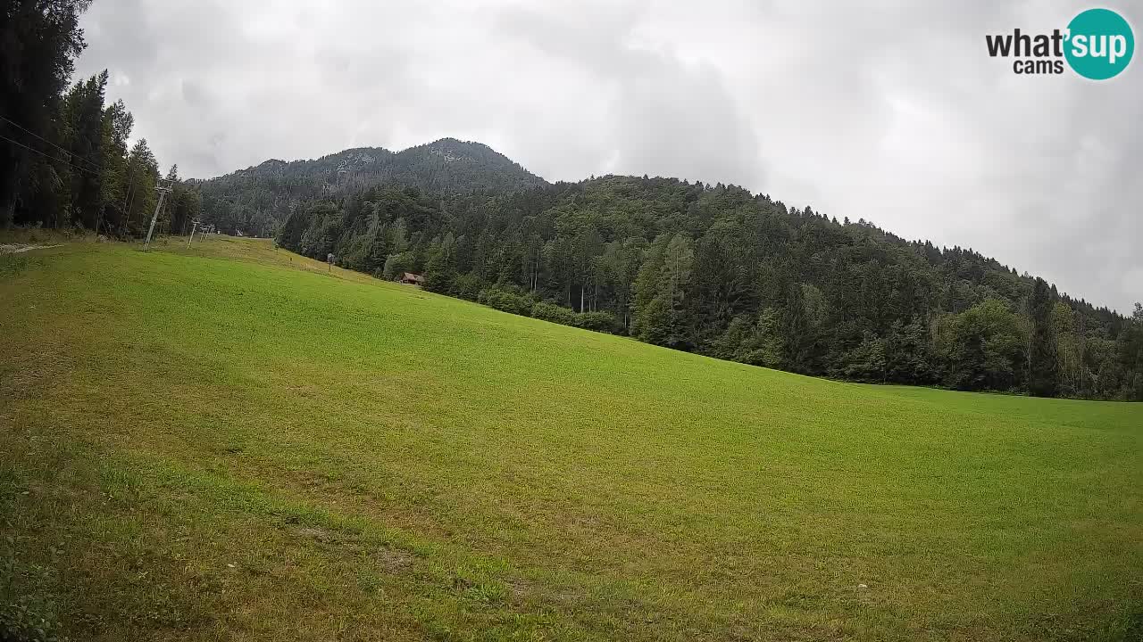 RTC Skigebiet Kranjska Gora | Brsnina