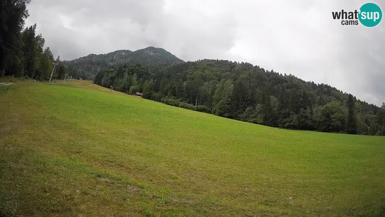 Kranjska Gora Station de ski | Brsnina