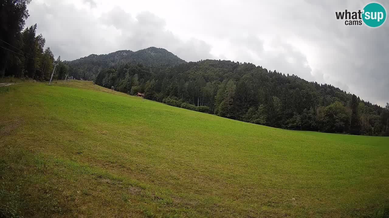 Esquí Kranjska Gora | Brsnina