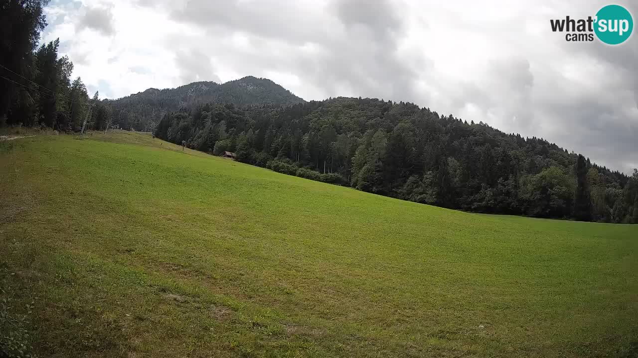 Esquí Kranjska Gora | Brsnina