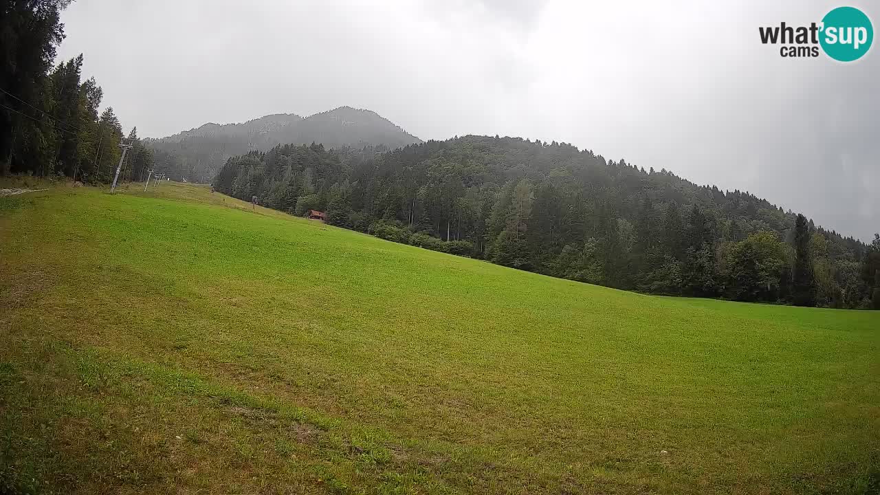 Kranjska Gora Station de ski | Brsnina