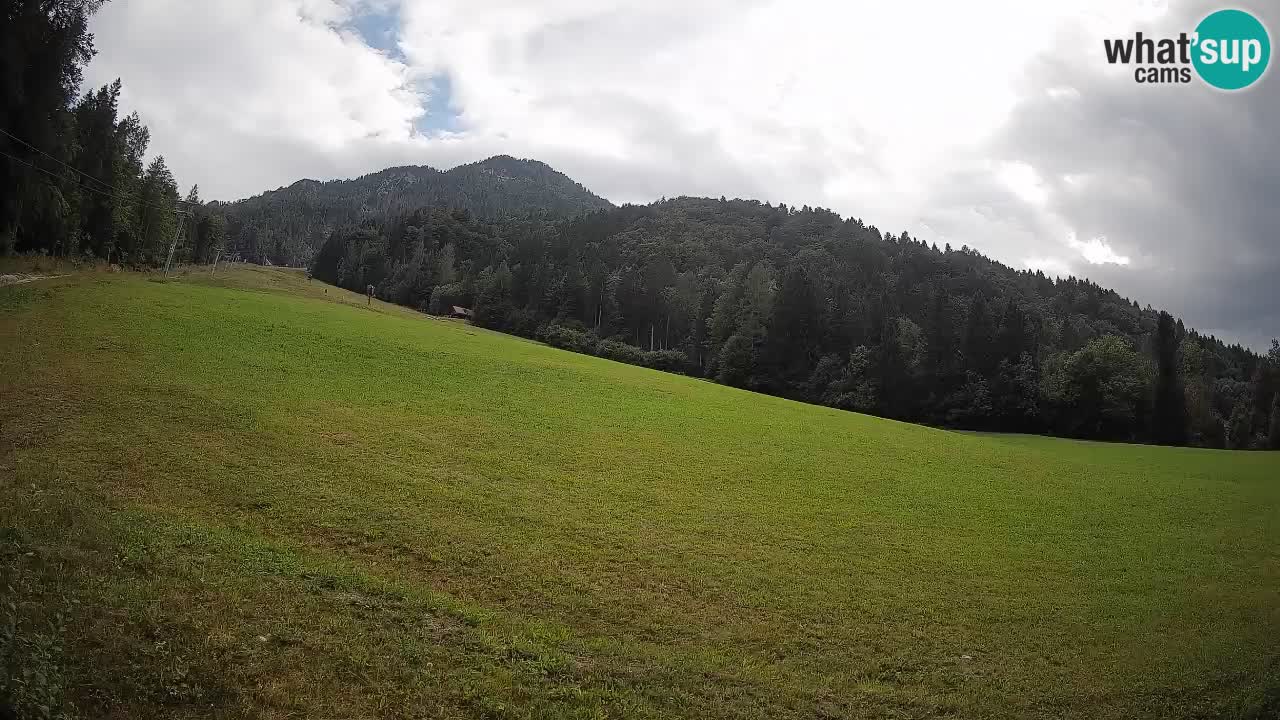 Kranjska Gora Station de ski | Brsnina