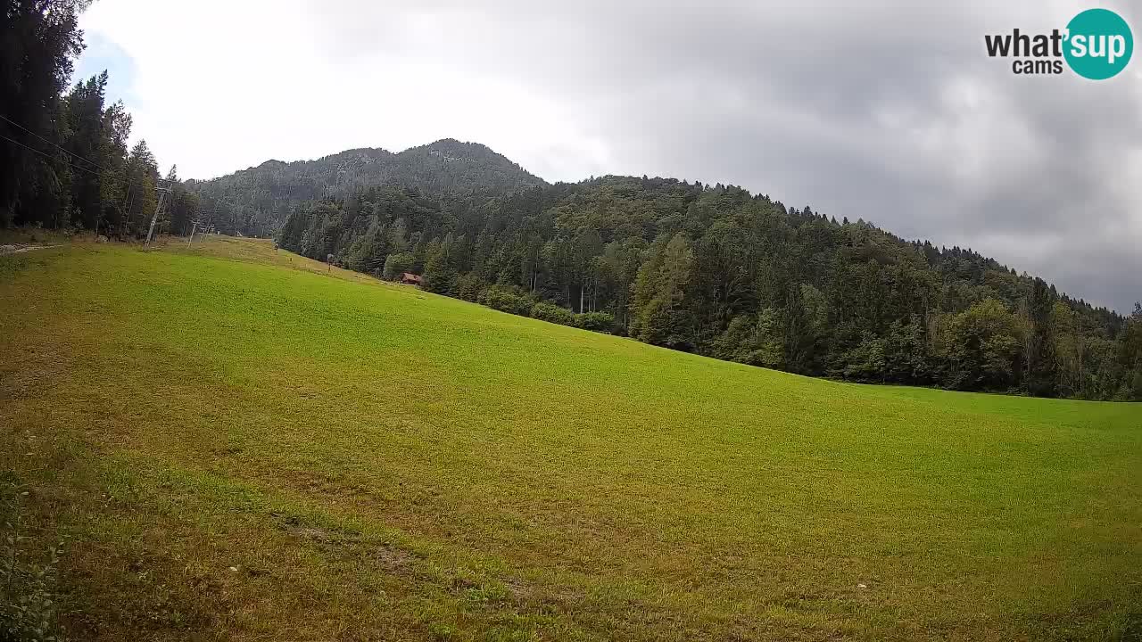 Kranjska Gora Station de ski | Brsnina