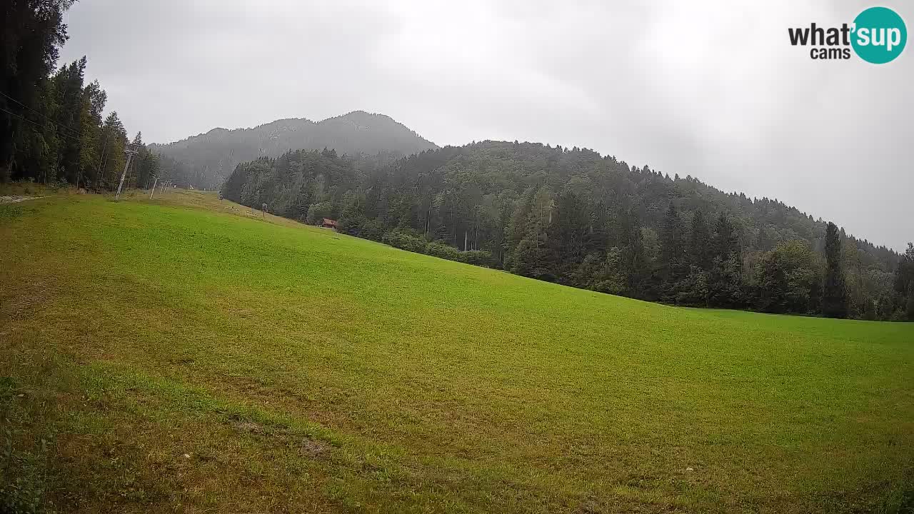 Esquí Kranjska Gora | Brsnina
