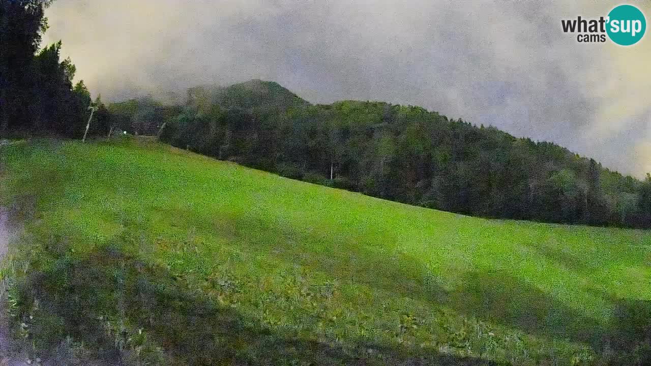 Kranjska Gora Station de ski | Brsnina