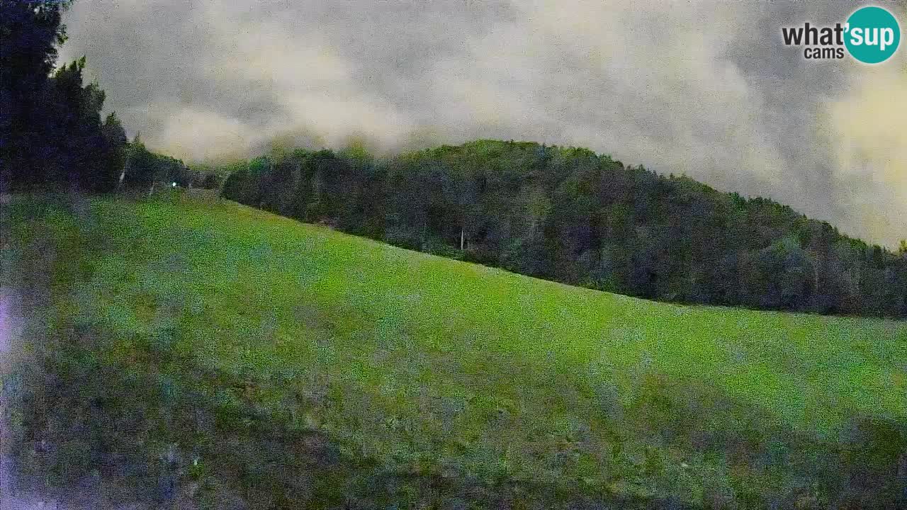 RTC Kranjska Gora | Brsnina