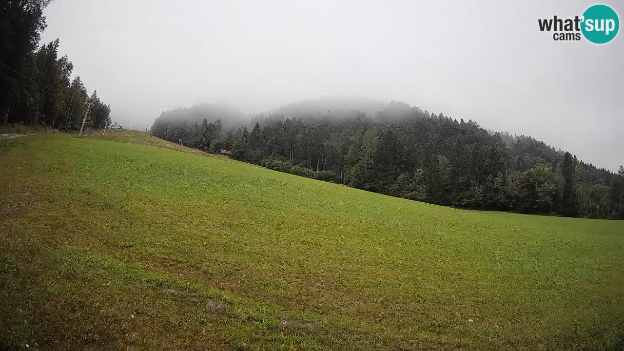 RTC Skigebiet Kranjska Gora | Brsnina
