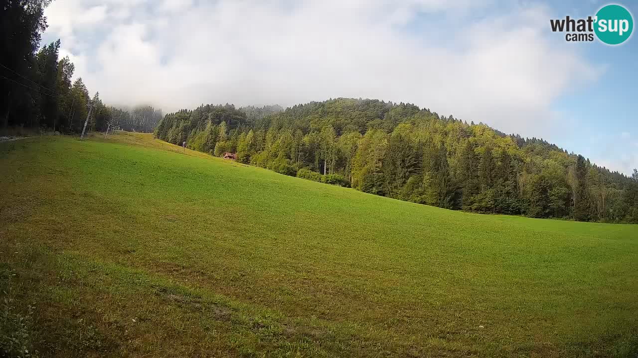 Kranjska Gora Station de ski | Brsnina