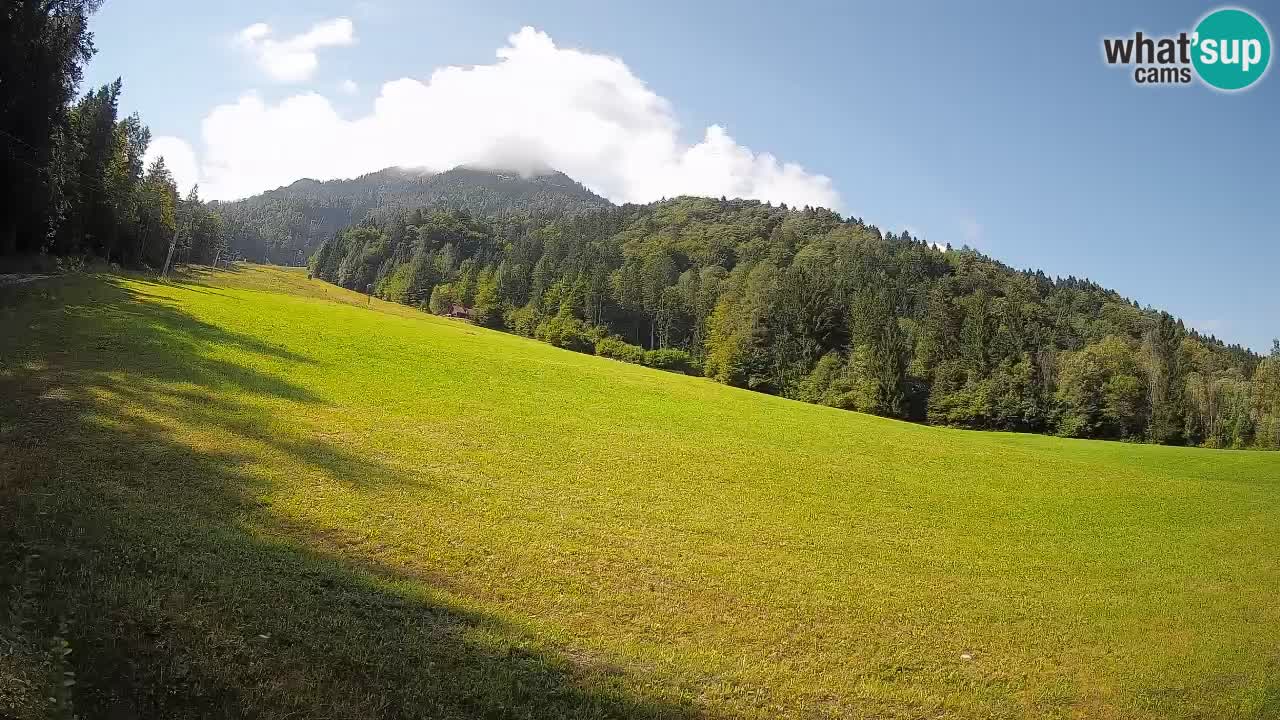 RTC Skigebiet Kranjska Gora | Brsnina