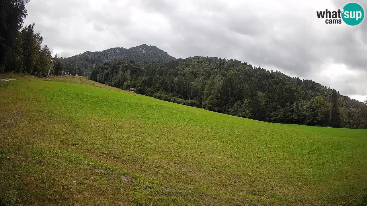 RTC Kranjska Gora | Brsnina