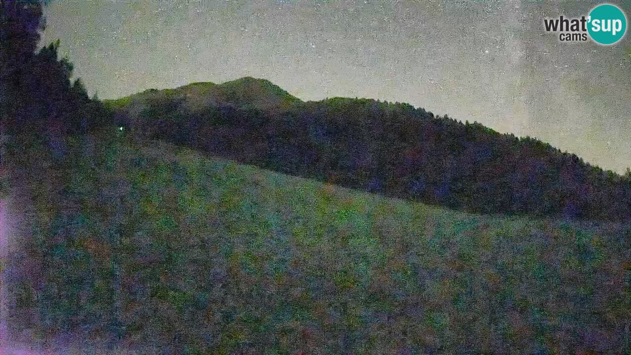Esquí Kranjska Gora | Brsnina