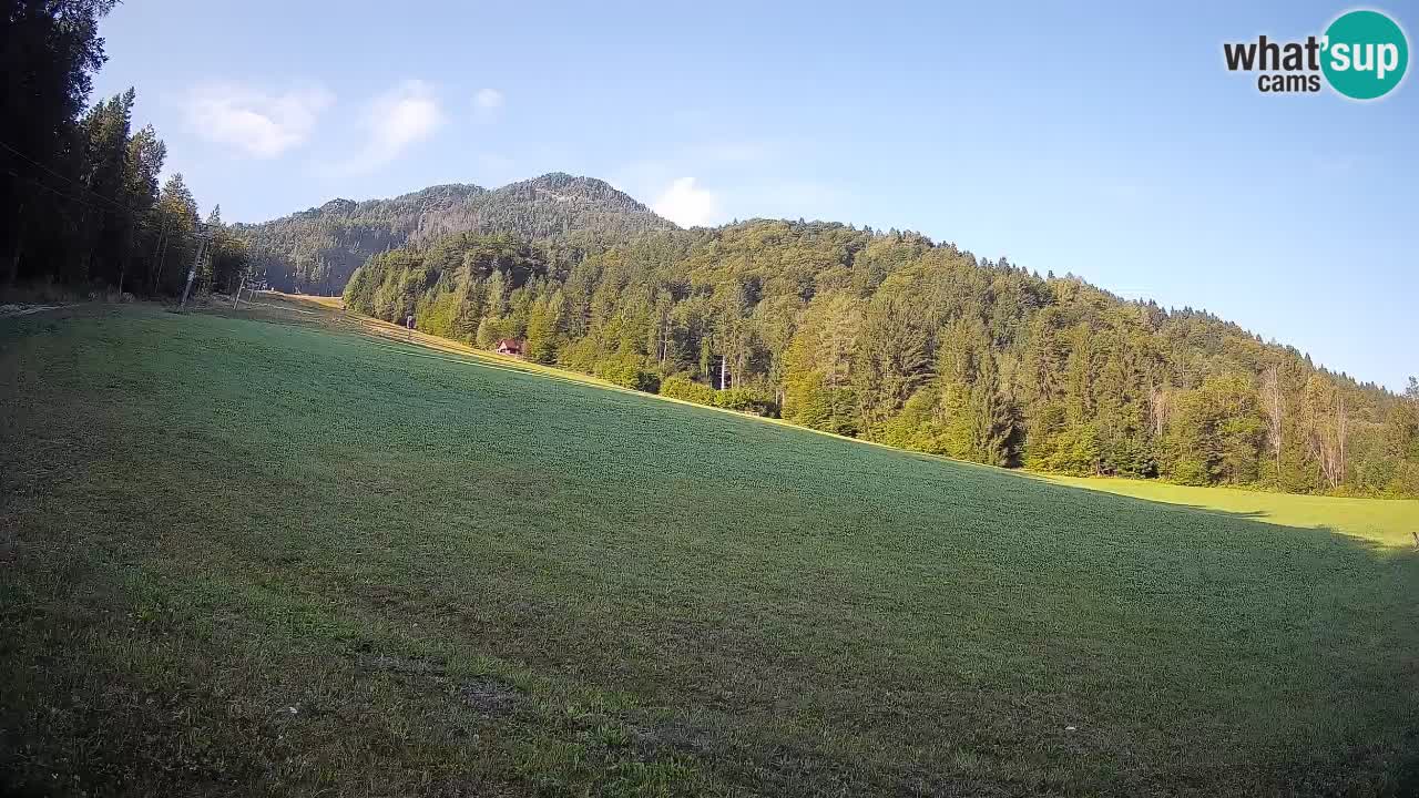 Ski Kranjska Gora | Brsnina