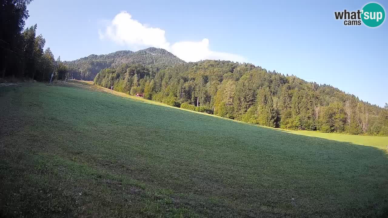 Comprensorio sciistico Kranjska Gora | Brsnina