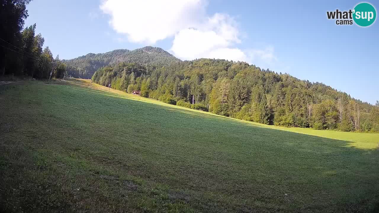 Comprensorio sciistico Kranjska Gora | Brsnina