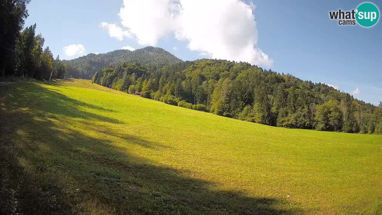 Ski Kranjska Gora | Brsnina
