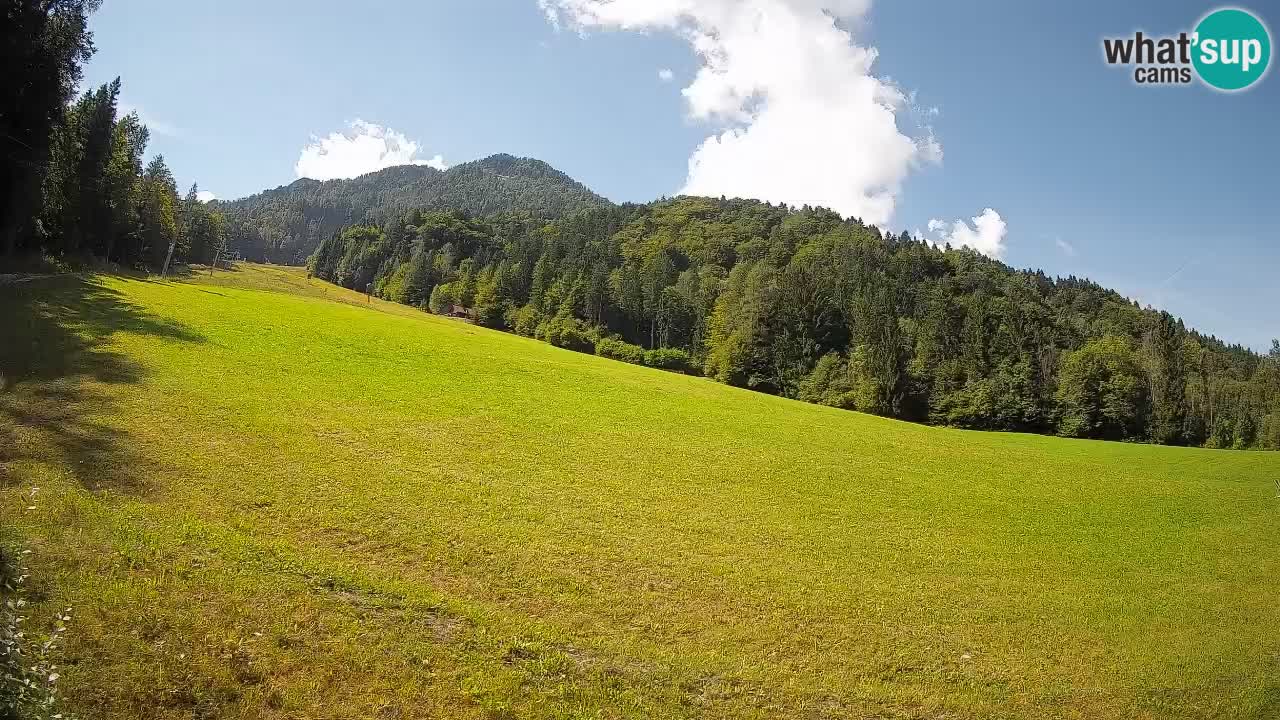 RTC Kranjska Gora | Brsnina