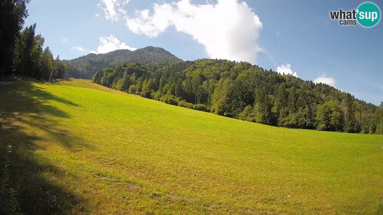 Ski Kranjska Gora | Brsnina