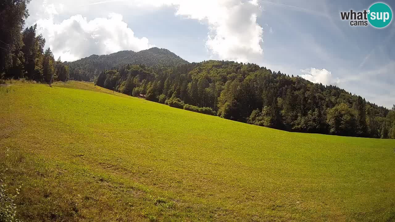 Ski Kranjska Gora | Brsnina