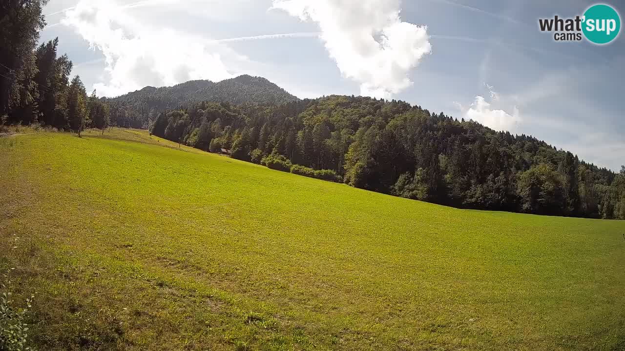 Ski Kranjska Gora | Brsnina