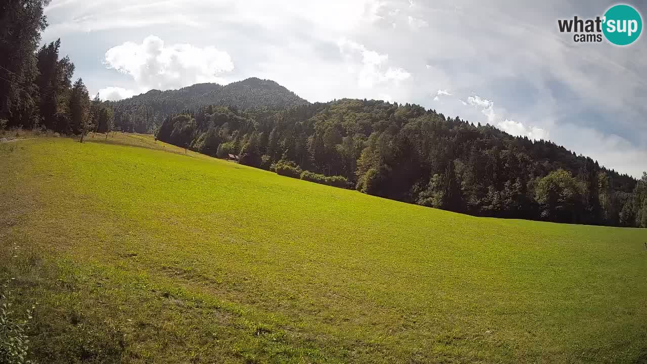 Ski Kranjska Gora | Brsnina