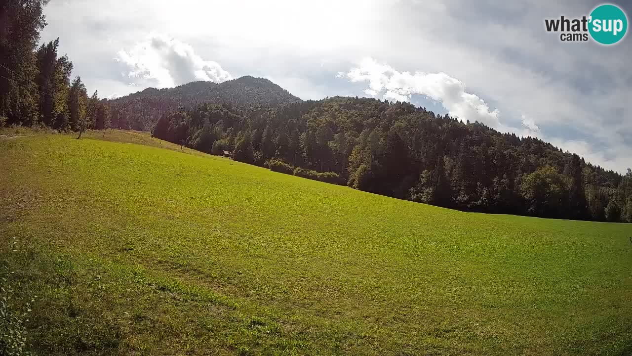 RTC Kranjska Gora | Brsnina