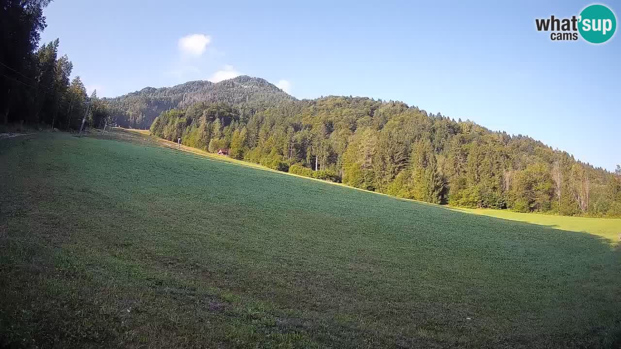 RTC Kranjska Gora | Brsnina
